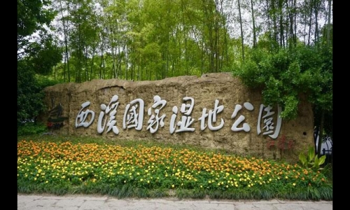 2023杭州西溪湿地公园游玩攻略 附最佳路线